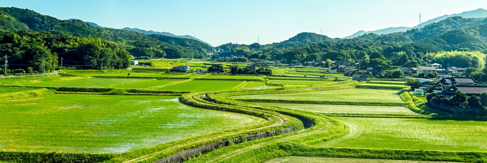 地方創生支援事業イメージ